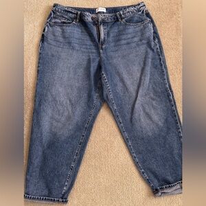 Lane Bryant Relaxed Fit Blue Jeans